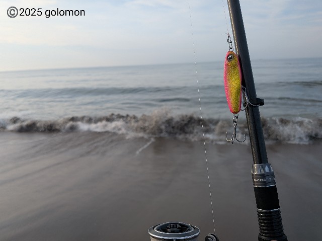 f:id:golomon:20250705185502j:image