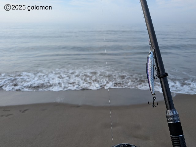 f:id:golomon:20250705185536j:image