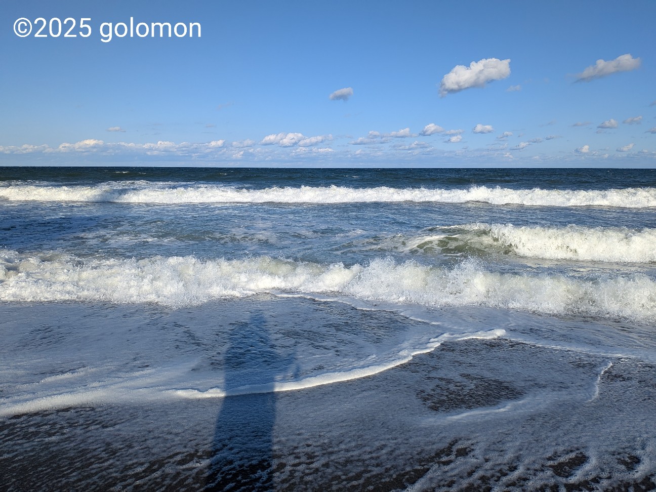f:id:golomon:20251127221337j:image