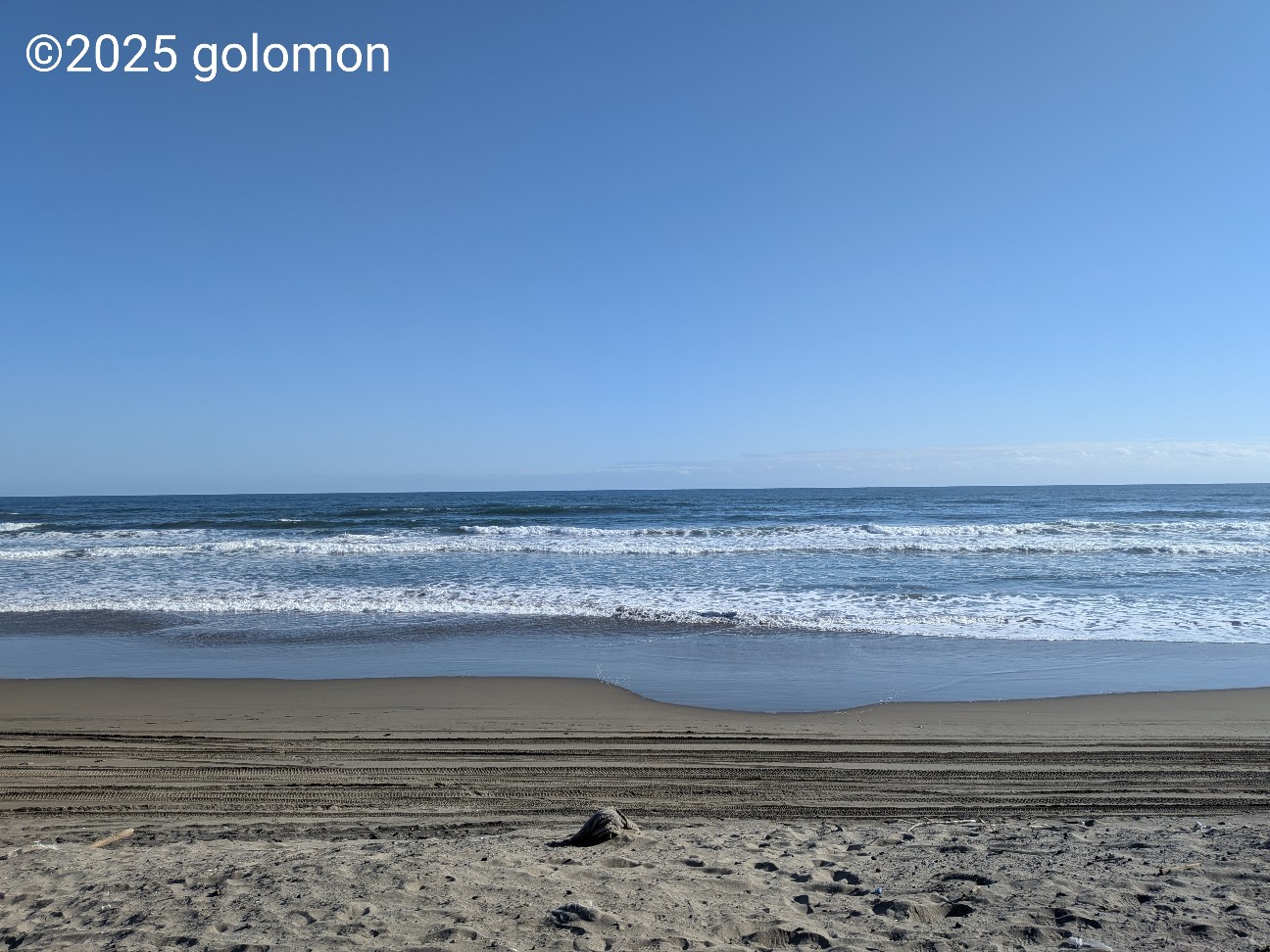 f:id:golomon:20251202202114j:image