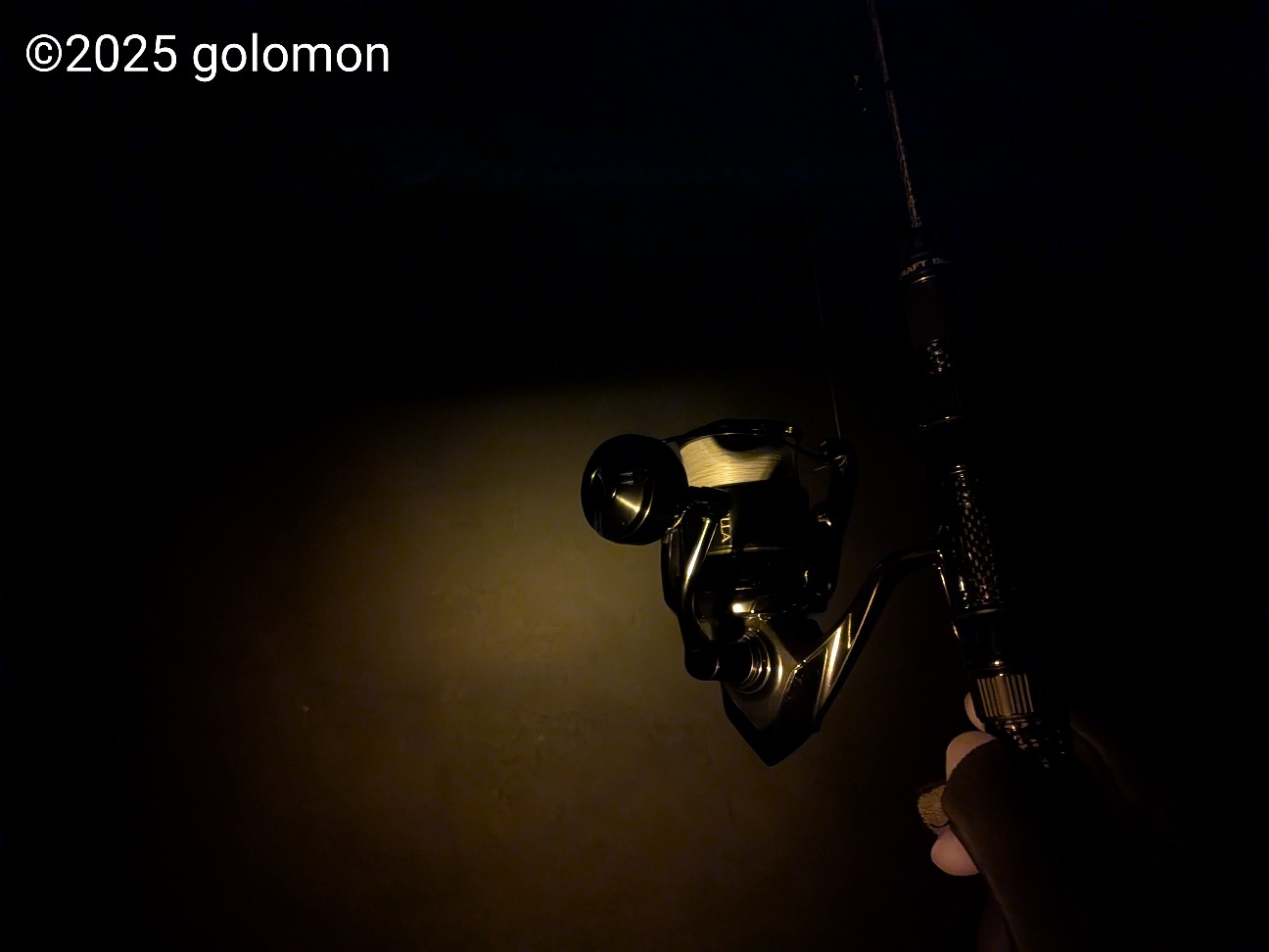 f:id:golomon:20251231003013j:image