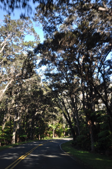 f:id:golvy0428:20111106155457j:image:w216:left