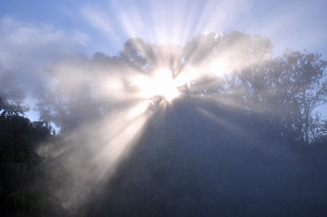f:id:golvy0428:20111106163342j:image:w250:left