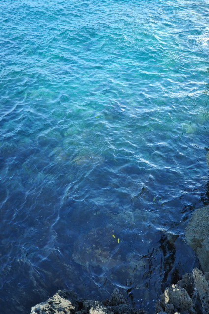 f:id:golvy0428:20111107083537j:image:w229:left