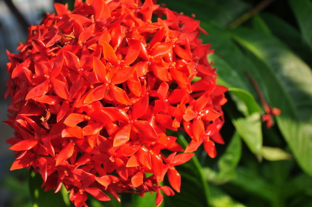f:id:golvy0428:20111107085057j:image:w250:left