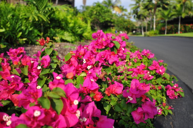 f:id:golvy0428:20111107085602j:image:w250:left