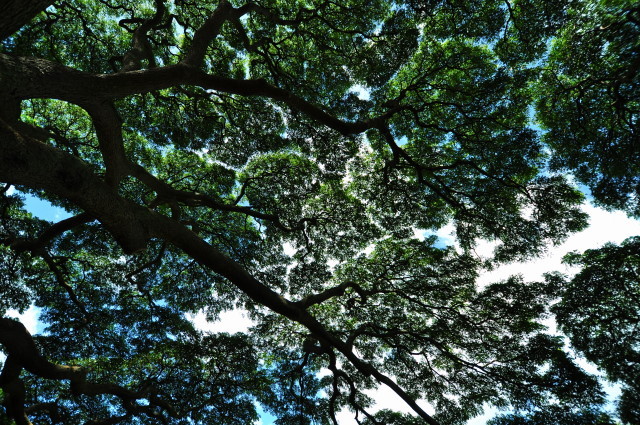 f:id:golvy0428:20111108125317j:image:w600:left