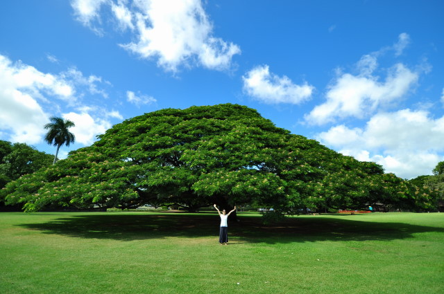 f:id:golvy0428:20111108130226j:image:w600:left