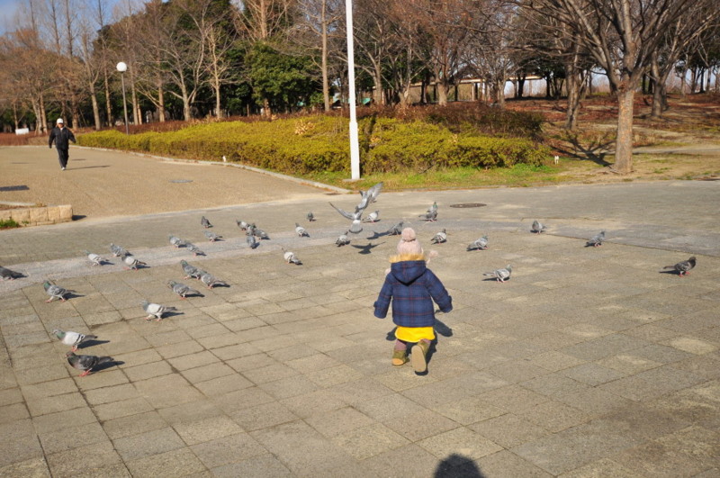 f:id:golvy0428:20120212092830j:image:w300:left