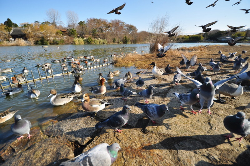 f:id:golvy0428:20120212093940j:image:w300:left