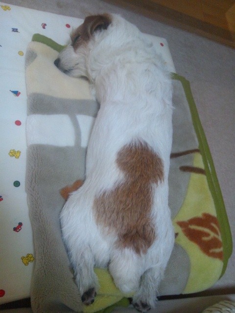 f:id:golvy0428:20120212222929j:image:w200:left