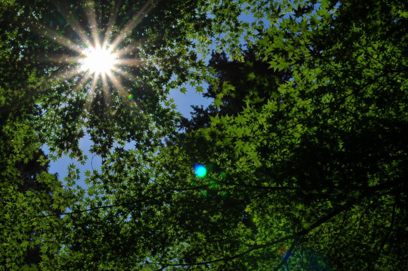 f:id:golvy0428:20120519115929j:image:w650:left