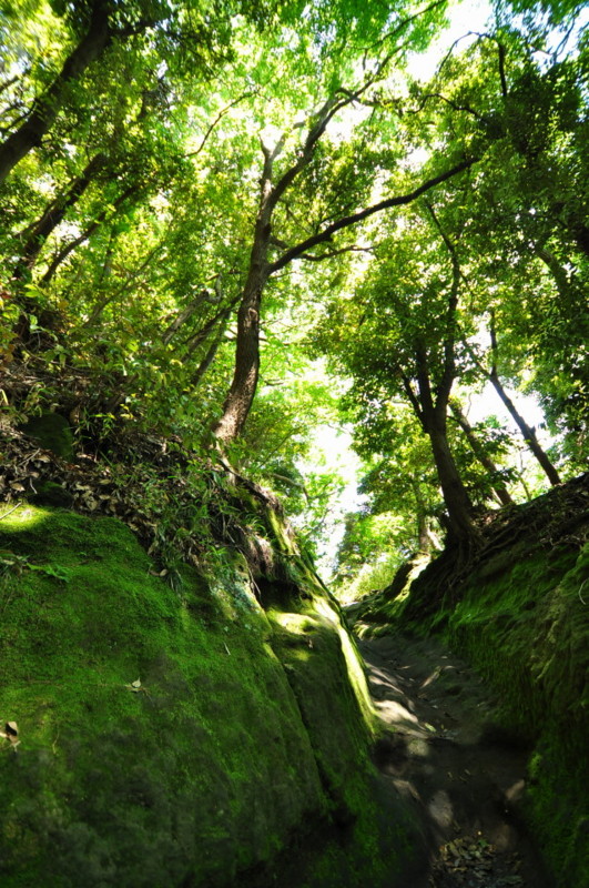 f:id:golvy0428:20120519123214j:image:h300:left
