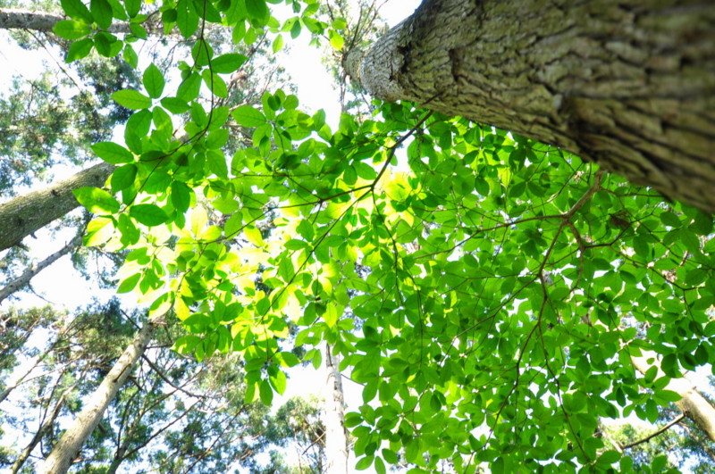 f:id:golvy0428:20120519135904j:image:w453:left