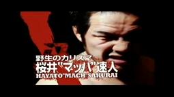 イメージ 7