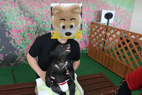 イメージ 30