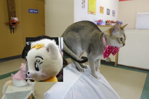 イメージ 35