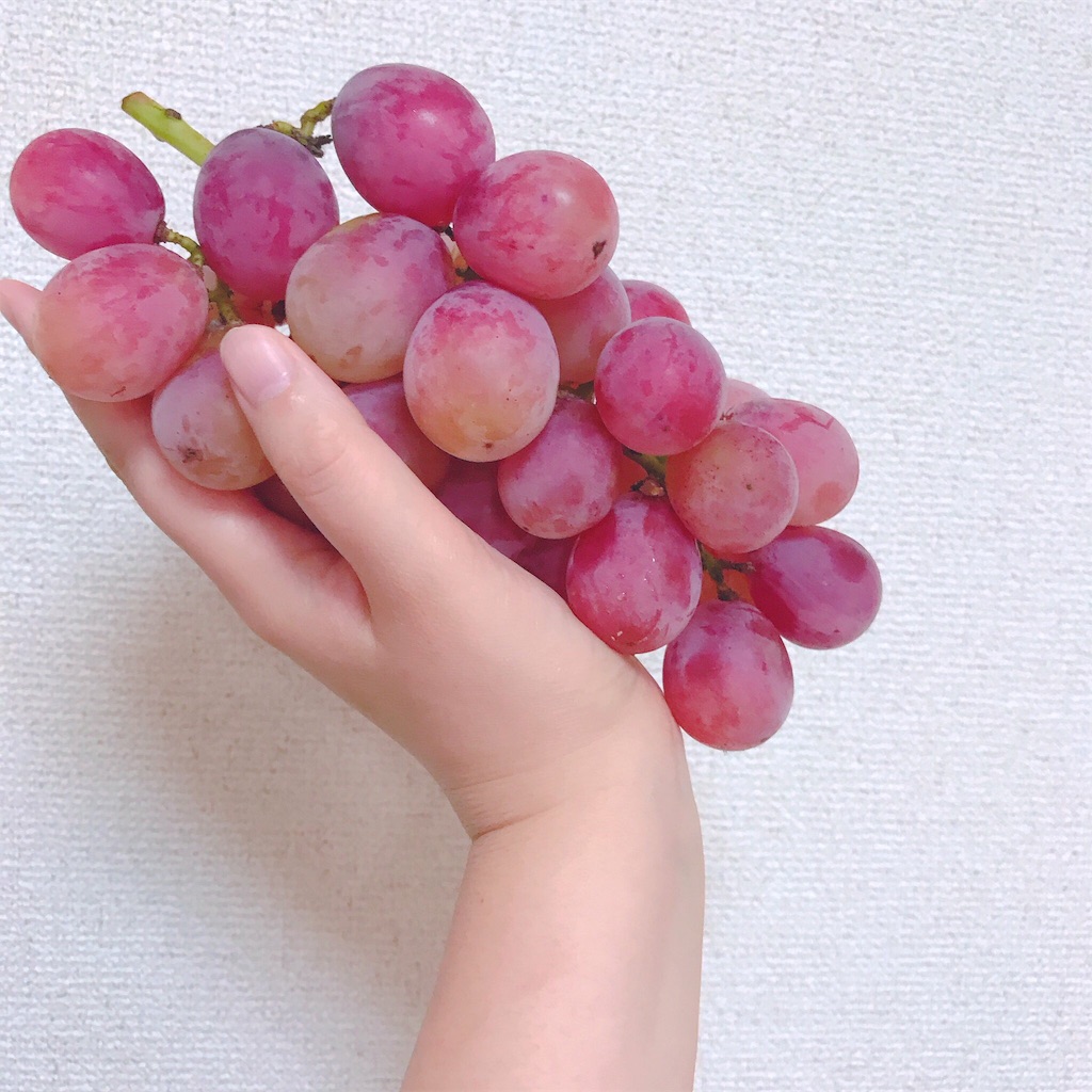 f:id:gomachanIK:20190925110346j:image f:id:gomachanIK:20190925110346j:image