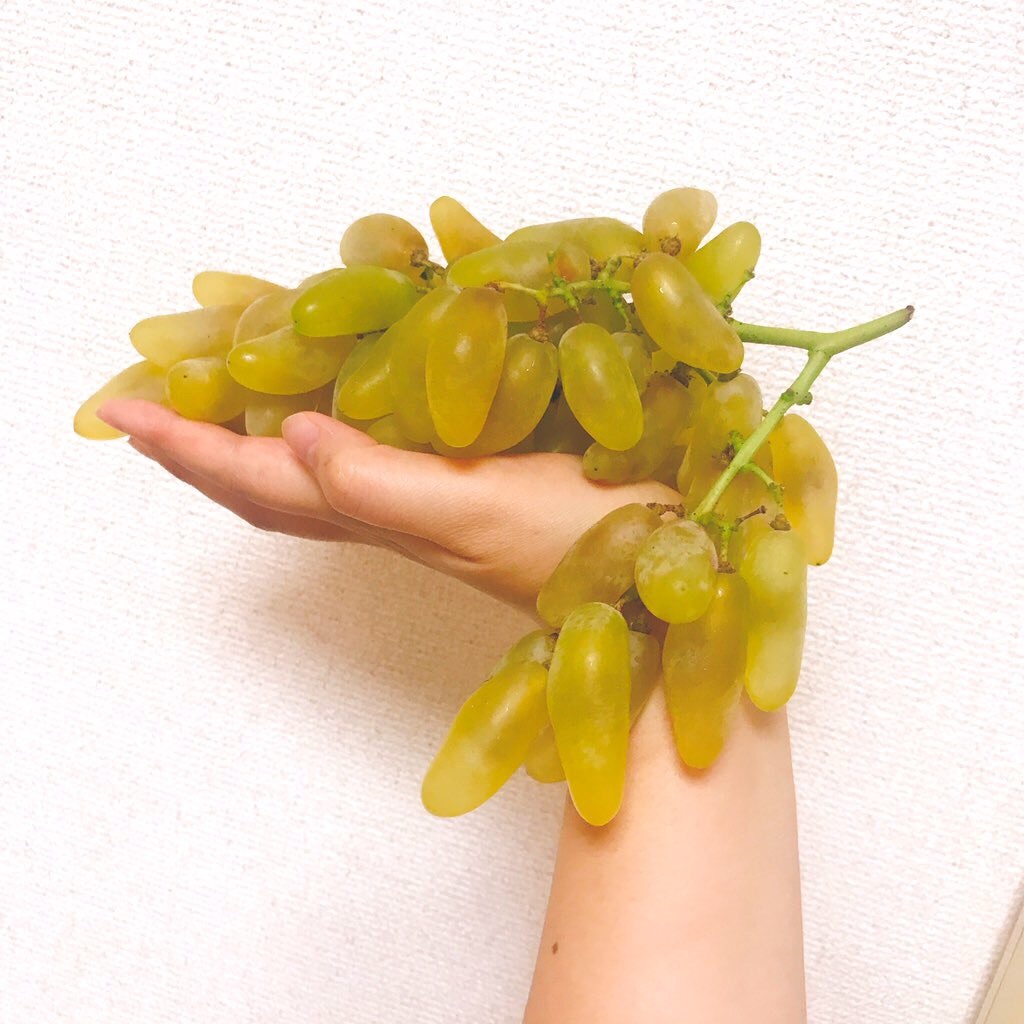 f:id:gomachanIK:20190925112055j:image f:id:gomachanIK:20190925112055j:image