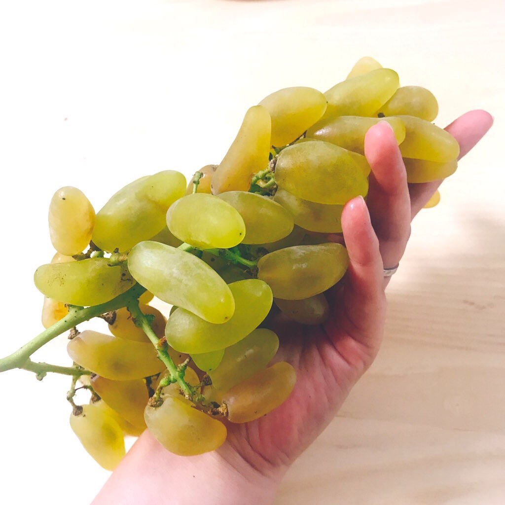 f:id:gomachanIK:20190925113350j:image f:id:gomachanIK:20190925113350j:image