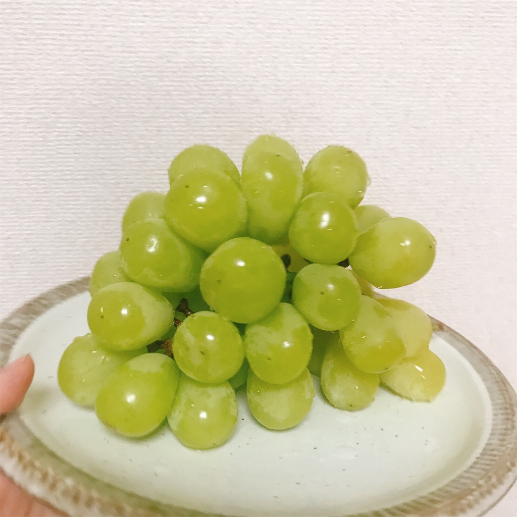 f:id:gomachanIK:20190925114926j:image f:id:gomachanIK:20190925114926j:image