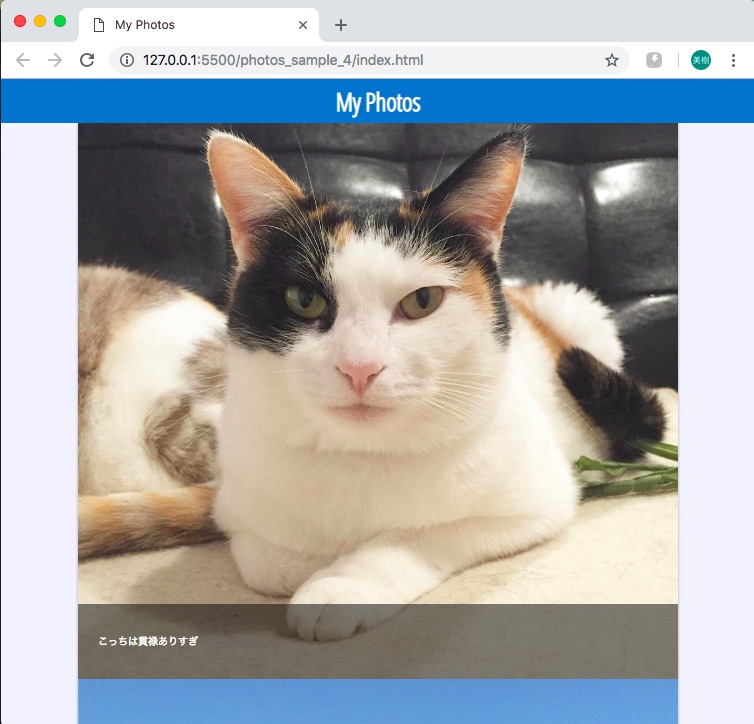 f:id:gomagaru:20190131201137j:plain f:id:gomagaru:20190131201137j:plain