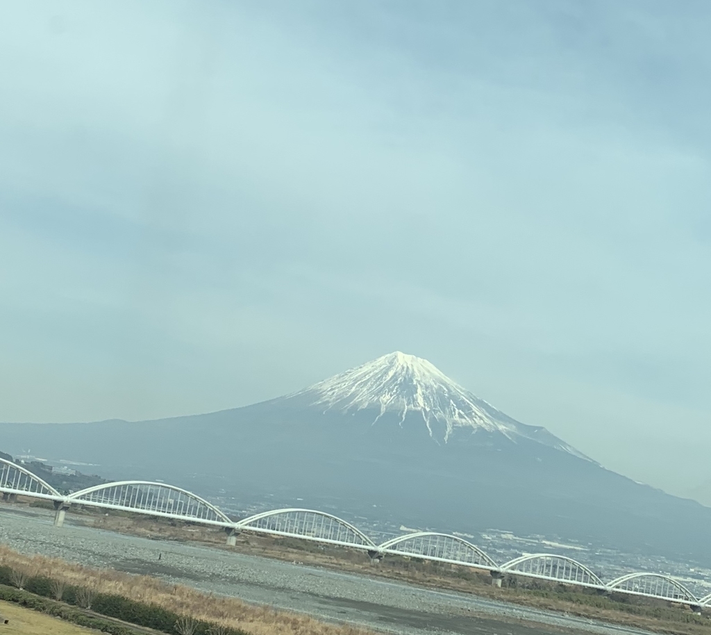 f:id:gomamekoko:20190207125102j:plain