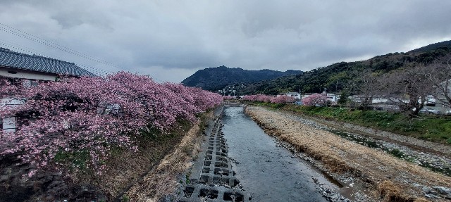 f:id:gomangoman:20230412052550j:image