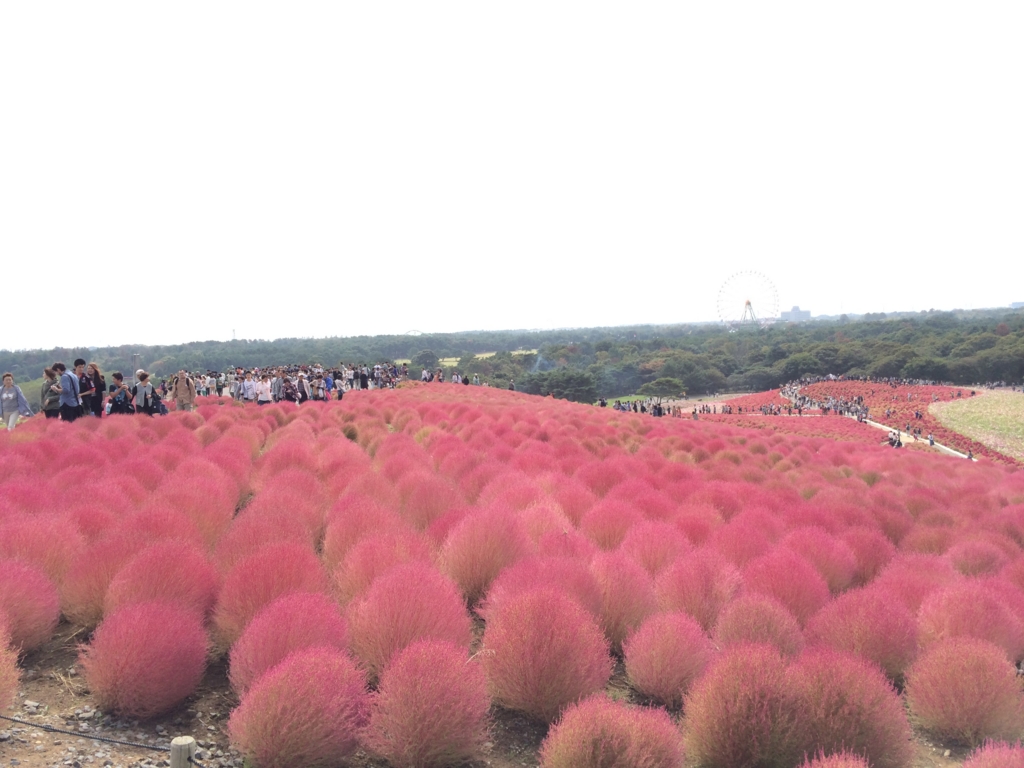 あっという間の登頂！