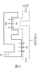 腎臓の機能 ２０１７年沖縄 中学理科応援 一緒に学ぼう ゴッチャンねる