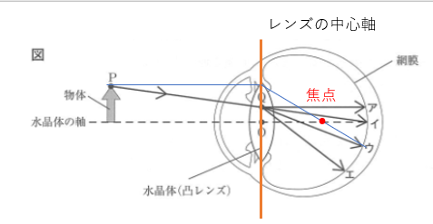 ヒトの目に映る像の作図 ２０１６年鹿児島 中学理科応援 一緒に学ぼう ゴッチャンねる
