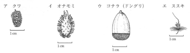 f:id:gomasan8:20210911204129p:plain