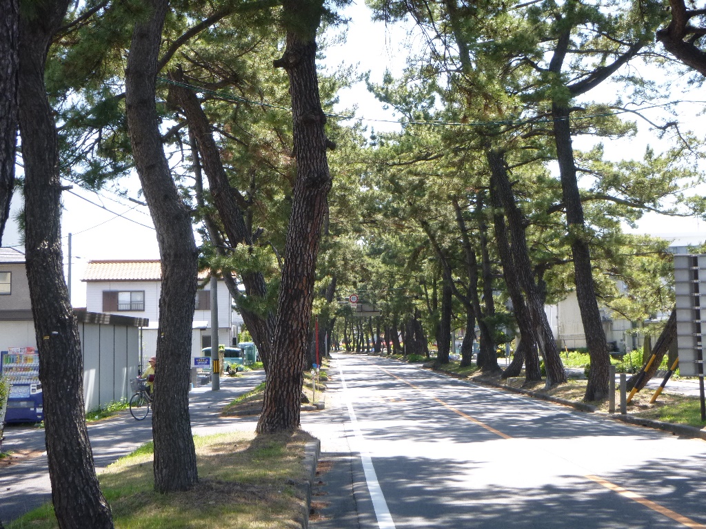 f:id:gomashio-oyaji:20200428210547j:plain