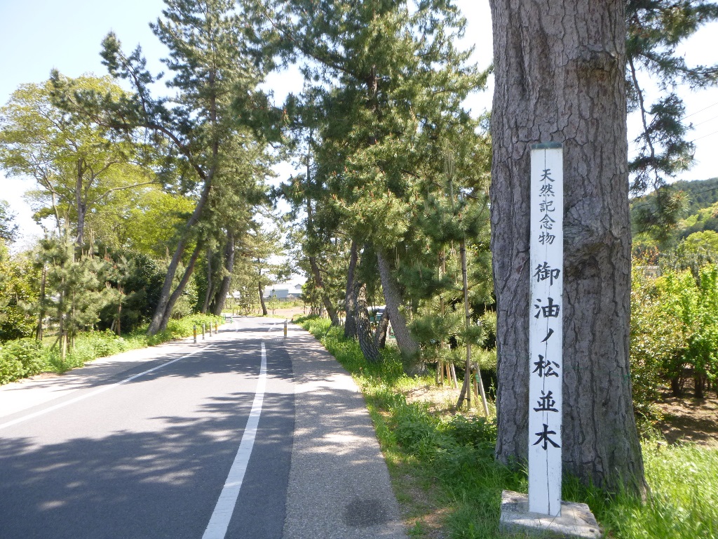 f:id:gomashio-oyaji:20200428210851j:plain