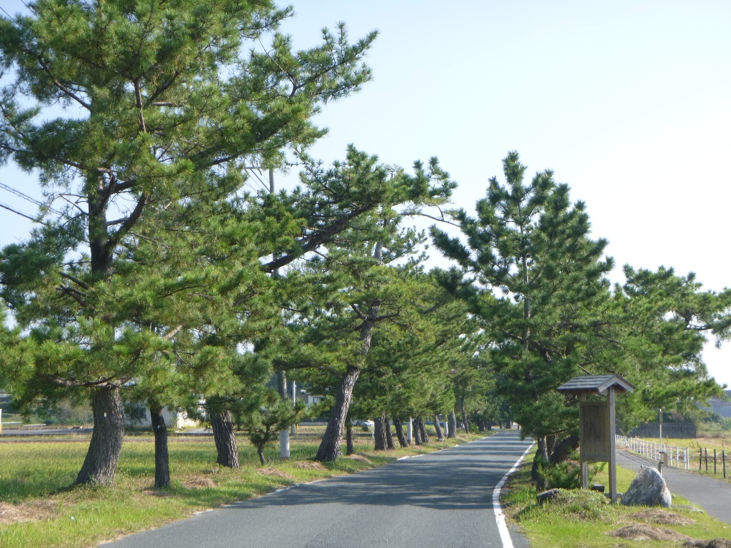 f:id:gomashio-oyaji:20200502200936j:plain f:id:gomashio-oyaji:20200502200936j:plain