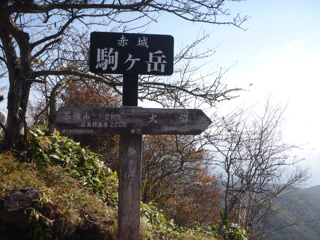 f:id:gomashio-oyaji:20200519212745j:plain