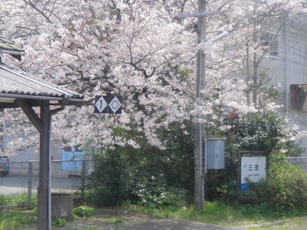 f:id:gomashio-oyaji:20200520190149j:plain