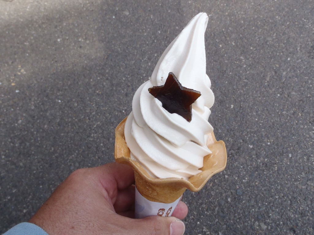 f:id:gomashio-oyaji:20200522210834j:plain