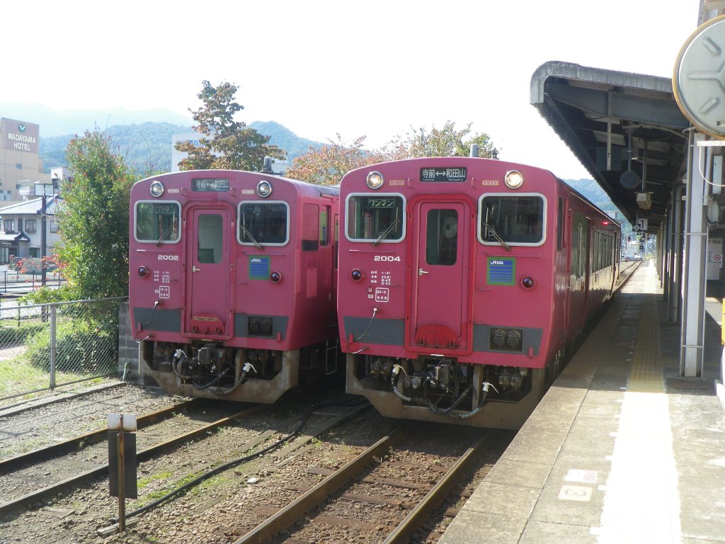 f:id:gomashio-oyaji:20200526194924j:plain f:id:gomashio-oyaji:20200526194924j:plain