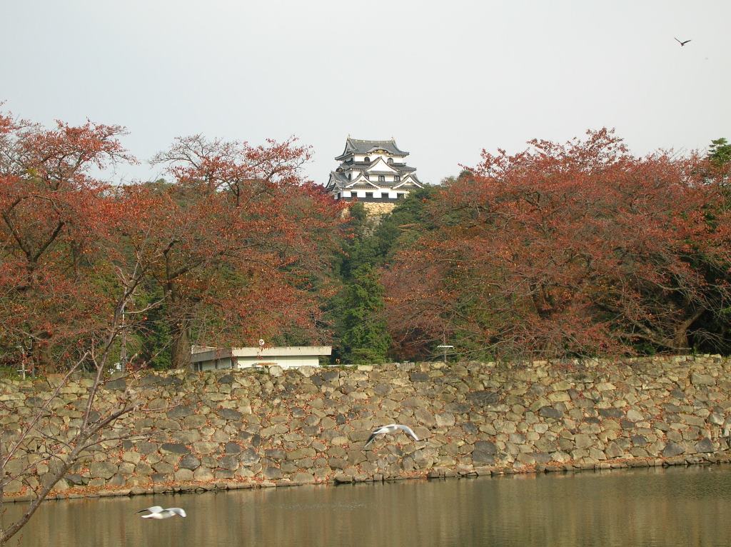 f:id:gomashio-oyaji:20200528213634j:plain