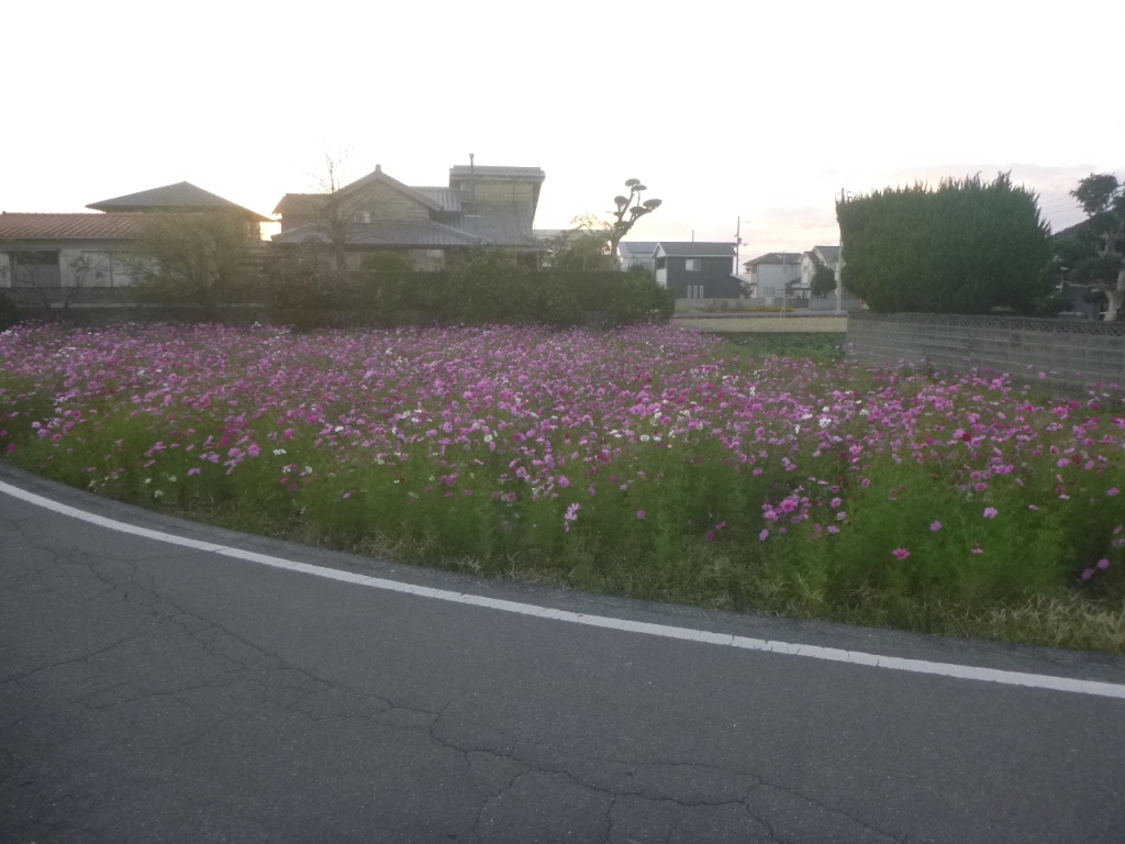 f:id:gomashio-oyaji:20200608215949j:plain f:id:gomashio-oyaji:20200608215949j:plain