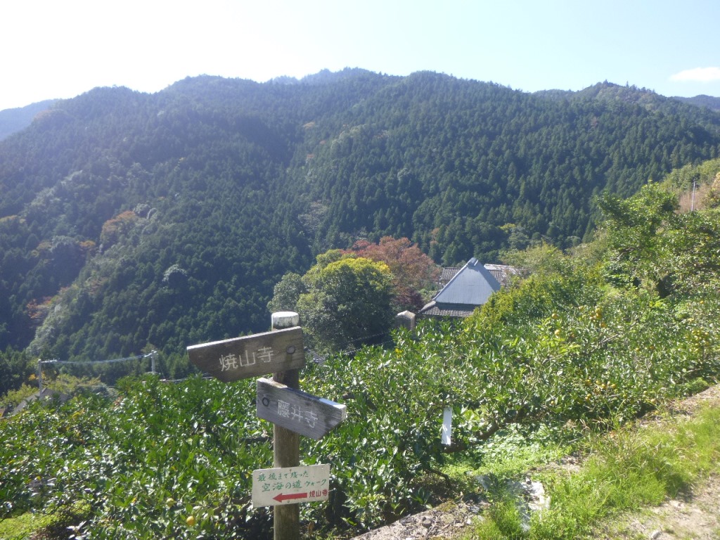 f:id:gomashio-oyaji:20200608220402j:plain f:id:gomashio-oyaji:20200608220402j:plain