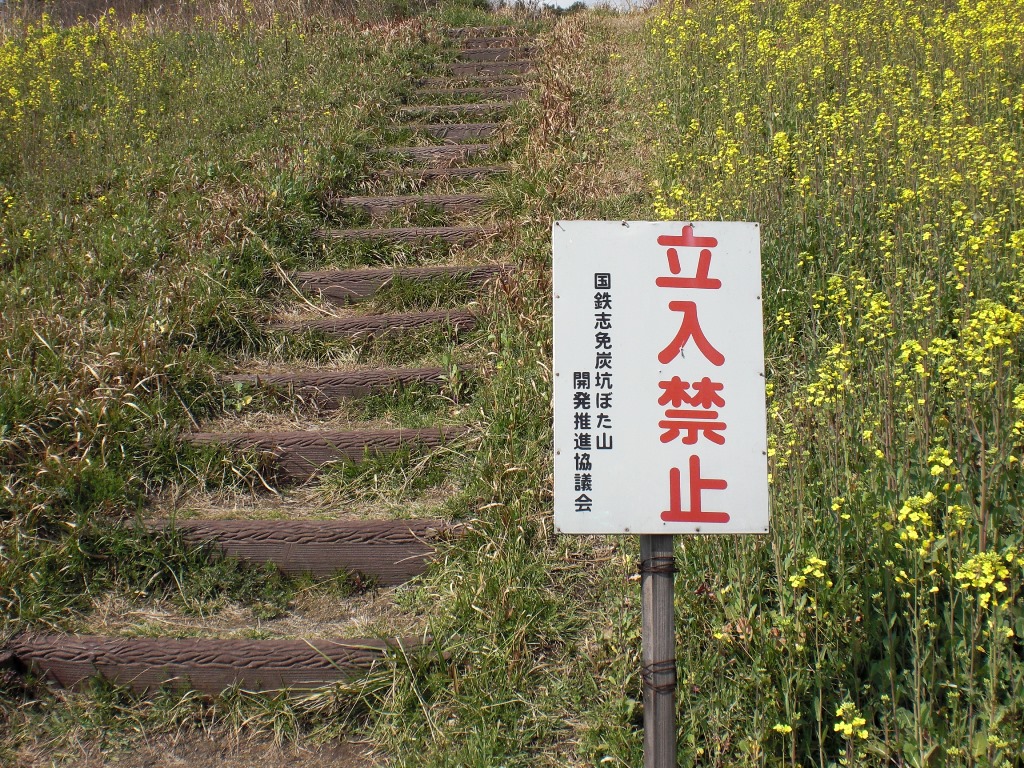 f:id:gomashio-oyaji:20200613191736j:plain