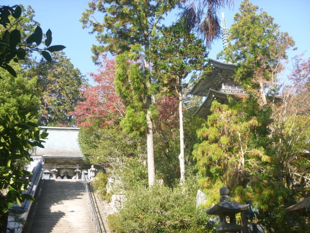 f:id:gomashio-oyaji:20200628215639j:plain f:id:gomashio-oyaji:20200628215639j:plain