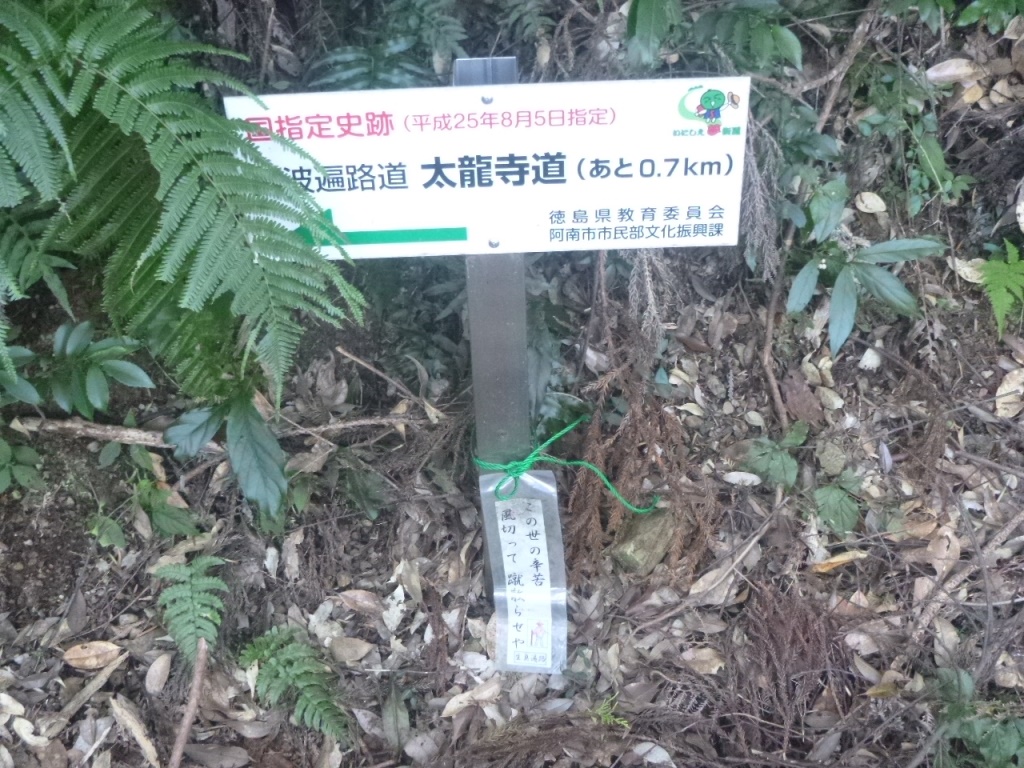 f:id:gomashio-oyaji:20200628215814j:plain f:id:gomashio-oyaji:20200628215814j:plain