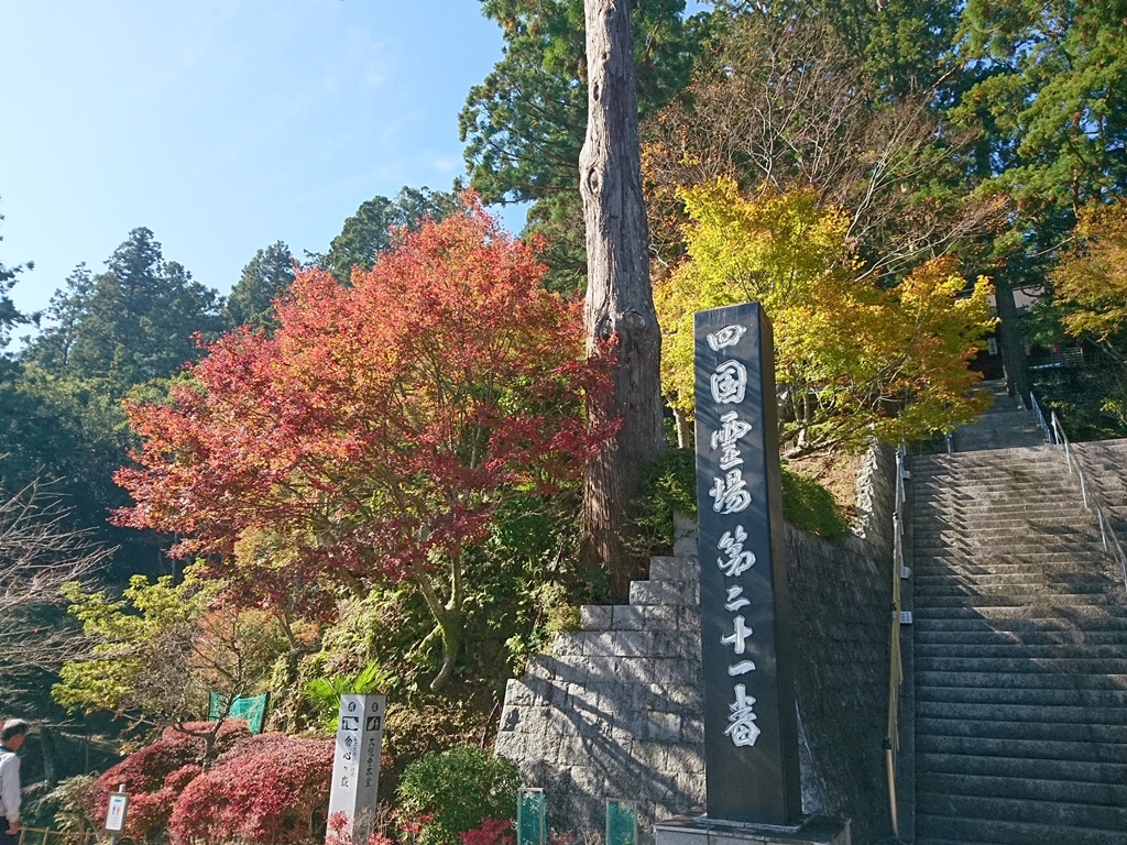 f:id:gomashio-oyaji:20200628215840j:plain f:id:gomashio-oyaji:20200628215840j:plain