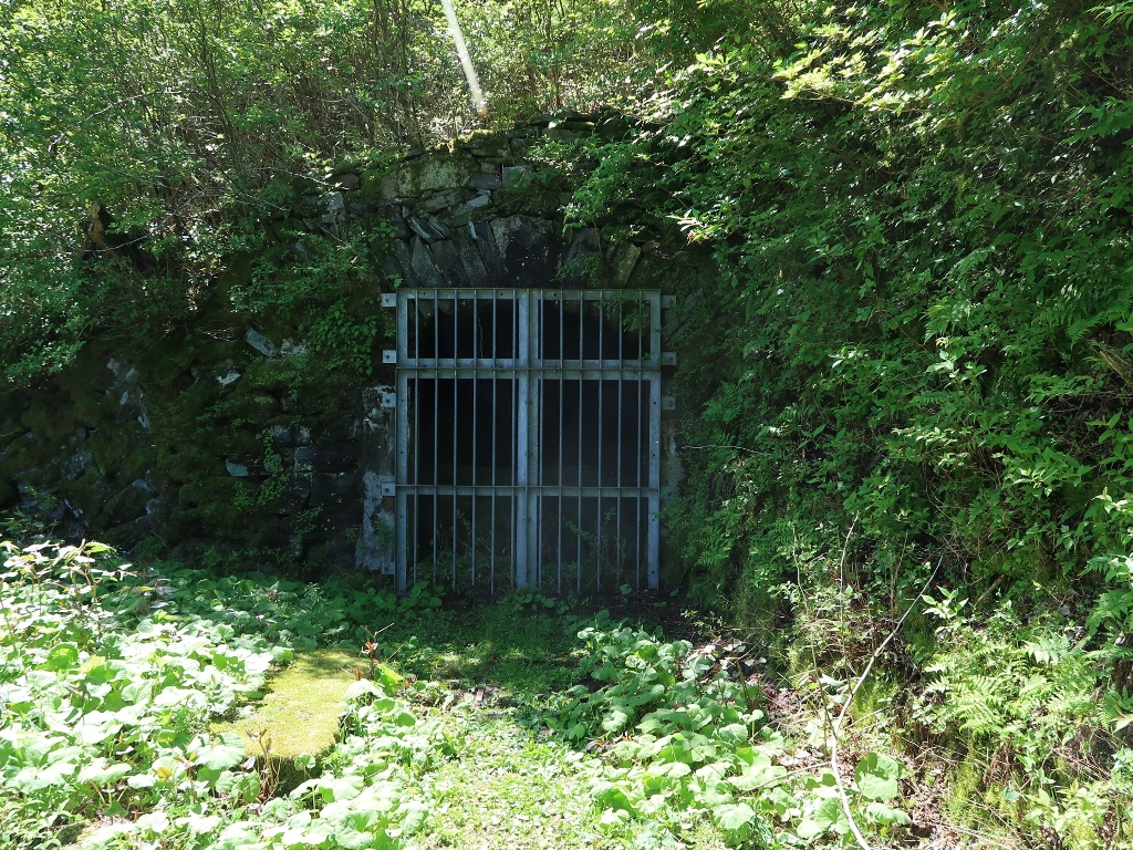 f:id:gomashio-oyaji:20200704224044j:plain