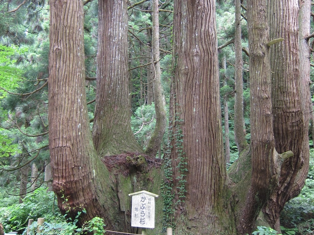 f:id:gomashio-oyaji:20200713212512j:plain