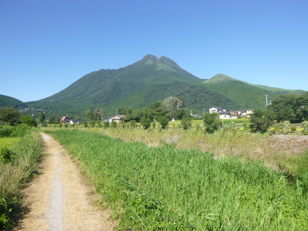 f:id:gomashio-oyaji:20200716213704j:plain