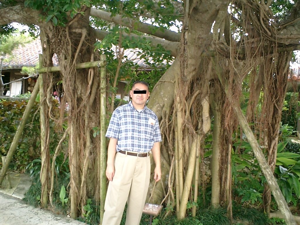 f:id:gomashio-oyaji:20200719185856j:plain
